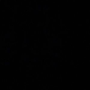 Meet your Posher, Tarah